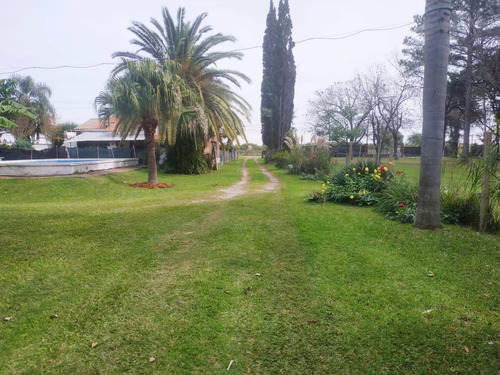 Imagen 19 de 24 de Se Vende 1ha. Con 3 Casas Sobre Ruta 11 Km 450