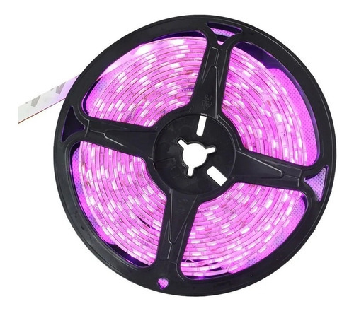 Fita Led Com 5m 3528 Rosa Aprova D`agua C/ Silicone