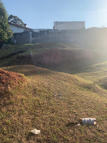 Imagem 8 de 10 de Terreno À Venda No Parque Dos Príncipes Avenida Darcy Reis