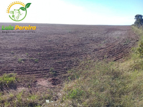 Imagem 2 de 4 de Fazenda À Venda Em Campo Grande - Ms - De 3.421 Hectares (pecuária) - 1745