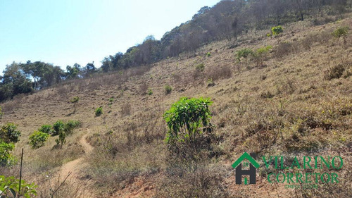 Imagem 9 de 15 de Fazenda Com Muita Água Em Peçanha - 3120