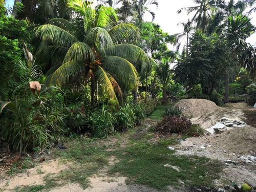 Imagen 3 de 5 de Venta Terreno 1599m2 Acapulco Diamante (castelli)