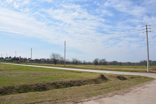 Nave Industrial En Alquiler De 16.000m2 En Parque Industrial Moreno 2 - Pim2