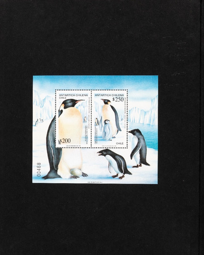 Sellos De Chile - 4 Blocks Souvenir Antártica Chilena - Mint