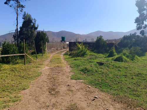 Vive En Este Lindo Lugar (74409)