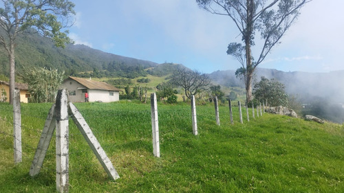 Imagen 4 de 8 de Vendo Finca En Yacudel, Area 21330 M2 Con Casa De Campo