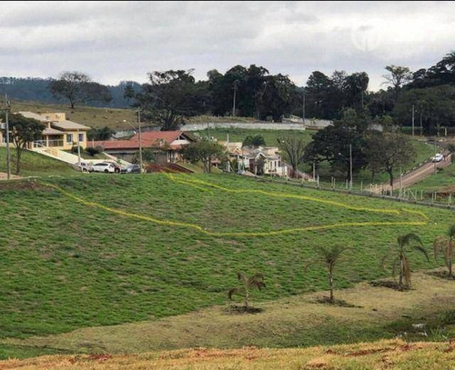 Imagem 3 de 11 de Que Tal Acordar Todos Os Dias Com Essa Vista? - Te0014