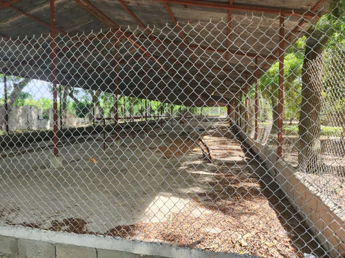 Granja Avicola Ventas La Ciénaga