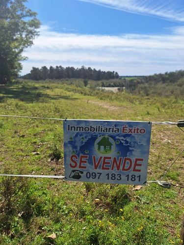 Vendemos Campos En Exclusiva En Rocha. Comunícate