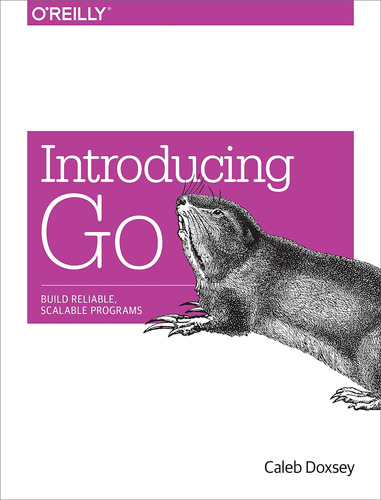 Libro Introducing Go-caleb Doxsey-inglés