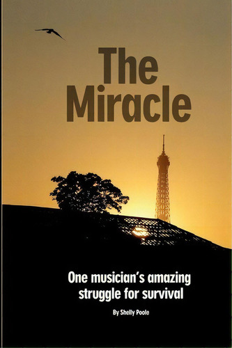 The Miracle, De Shelly Poole. Editorial Words Hq, Tapa Blanda En Inglés