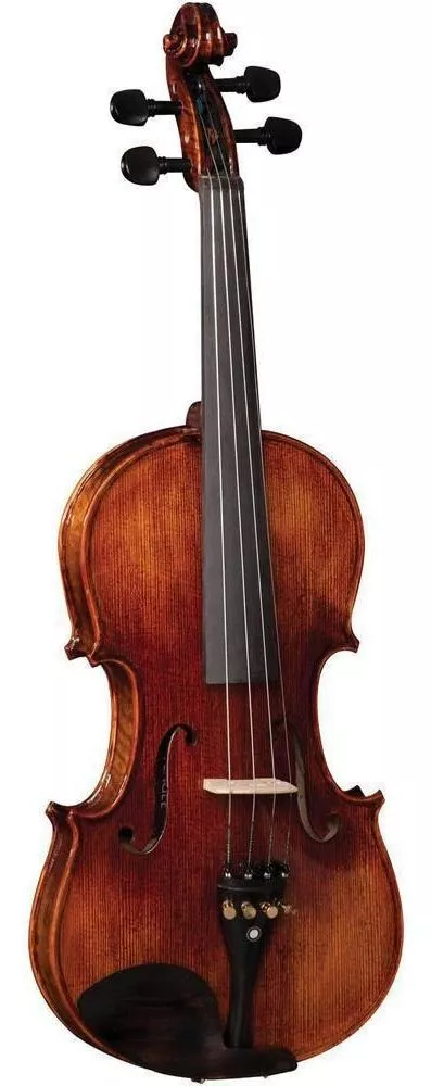 Primeira imagem para pesquisa de violino eagle vk 544