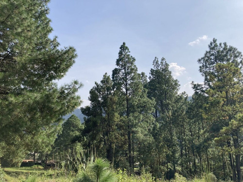 Lerma, Edo. Mex. Terreno En Venta En La Cañada De Alféres