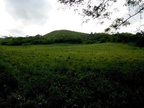 Imagen 27 de 27 de Se Vende Finca En Caicara De Maturin Sec Bajo Gde Ve02-1143cai-mtru