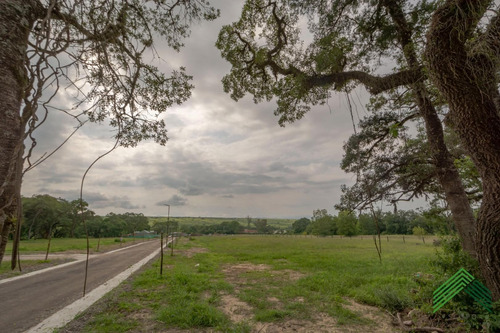 Imagen 15 de 25 de Vendo Terreno En El Retiro - San Lorenzo