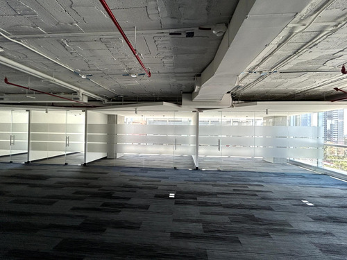 Oficina En Renta - Masaryk Piso 7 - 511 M2