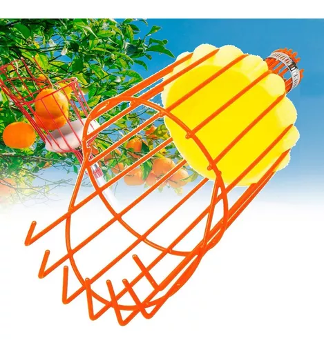 Recogedor de fruta sin mango