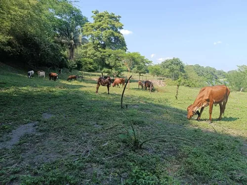 Espectacular Finca