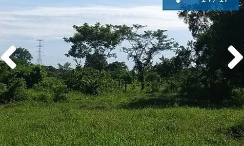 Lote En Montería