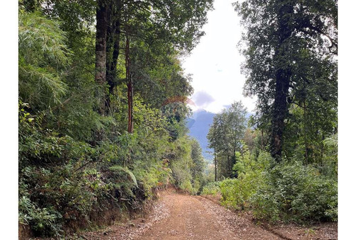 Se Vende Terreno De 12 Hectáreas En Caburgua