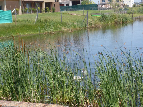 Imagen 23 de 30 de Terreno Lote En Venta Ubicado En San Benito, Villanueva, Tigre