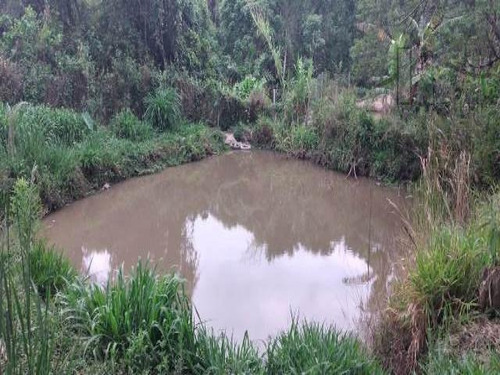 Imagem 1 de 15 de Cod 6158 - Chácara Com Lago Na Cidade De Ibiúna - 6158