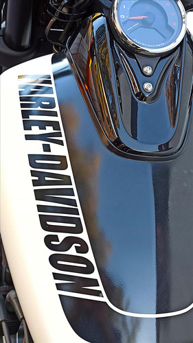Harley-davidson Softail Fat Bob 114