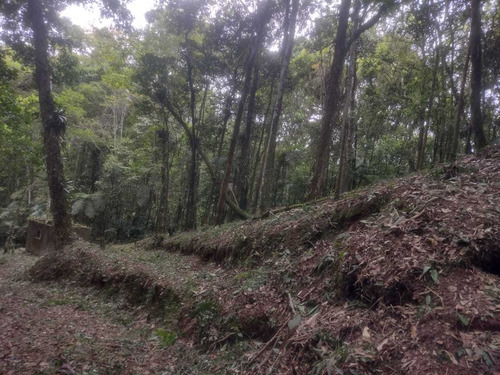 Imagem 9 de 10 de Juquitiba/terreno Construção Simples/lazer/morar/ref :05310