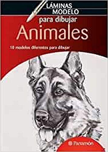 Libro Animales 10 Modelos Diferentes Para Dibujar (laminas M