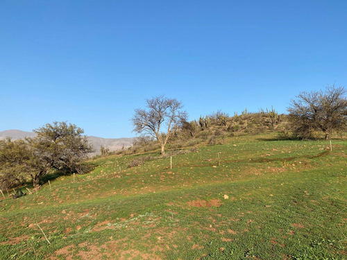 Imagen 16 de 21 de Terreno Con Gran Vista En Hacienda Chacabuco