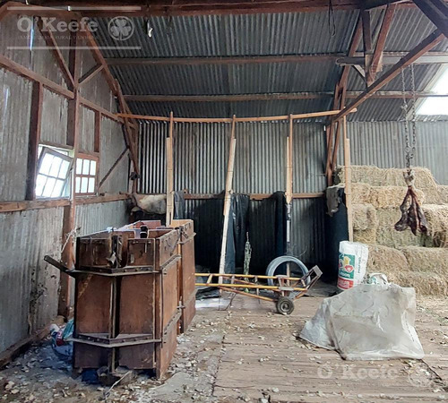 Imagen 26 de 30 de Campo En Venta De 14.000 Has En Neuquen Patagonia Argentina - Estancia Ganadera