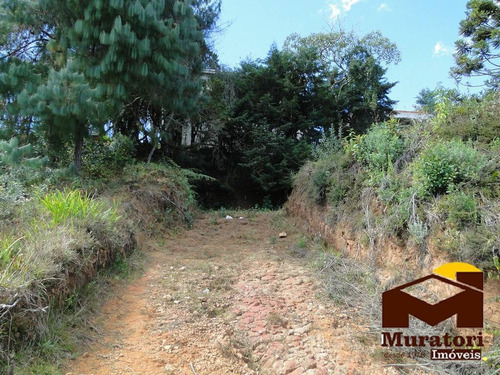 Imagem 7 de 15 de Lote À Venda - 2079
