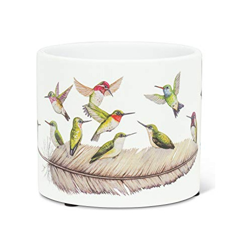 Macetero De Colibríes Pequeños 27plwr02sm, 4.5 Pulgad...