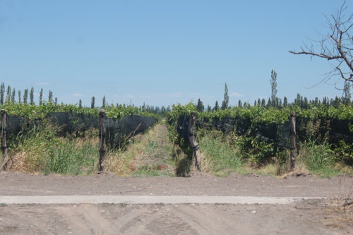 Imagen 3 de 30 de Vendo Finca 57 Hectareas Con Dos Perforaciones En Goudge- San Rafael
