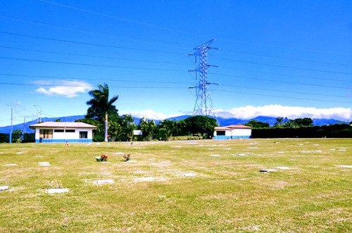 Se Vende Lote En Camposanto La Piedad