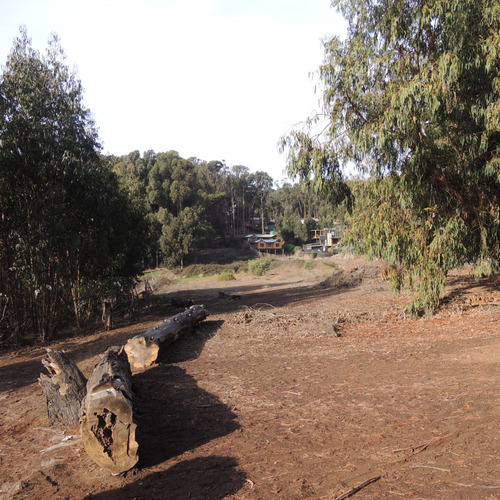 Terreno De 7.428 Mt A 200 Mt De Bajada Playa Caucau, Horcon