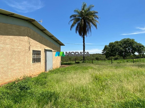 Imagem 14 de 15 de Fazenda - Zona Rural - Ref: 5332 - V-mta5332
