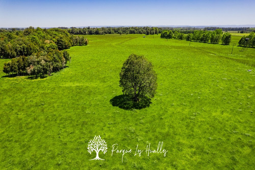 Loteo Parque Los Hualles, Fresia, Urbanización Soterrada