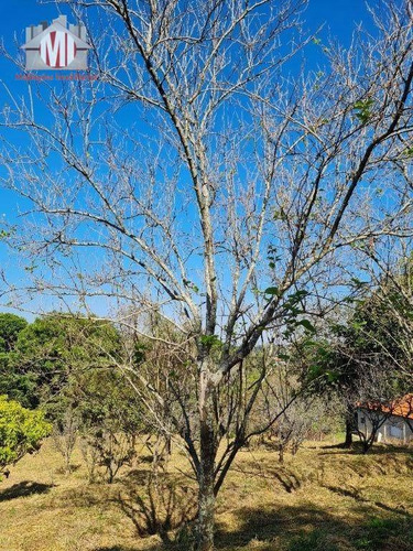 Imagem 2 de 30 de Ótima Chácara, Com 3 Dormitórios, Campinho De Futebol, Pomar, Horta, Bem Localizada, À Venda, 4400 M² Por R$ 360.000 - Rural - Socorro/sp - Ch0972