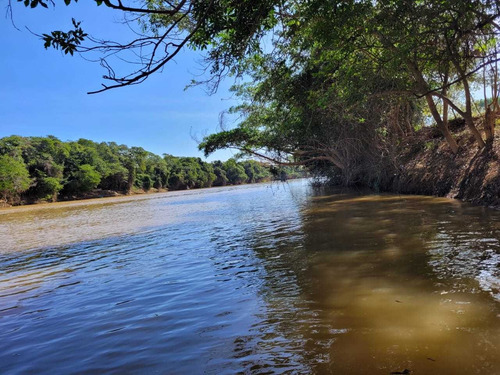 Imagem 22 de 30 de Chácara Em Centro, Martinho Campos/mg De 750m² 1 Quartos À Venda Por R$ 60.000,00 - Ch2330369-s