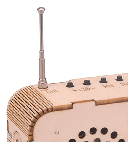 Kits De Modelo De Proyecto De Ciencia De Madera,