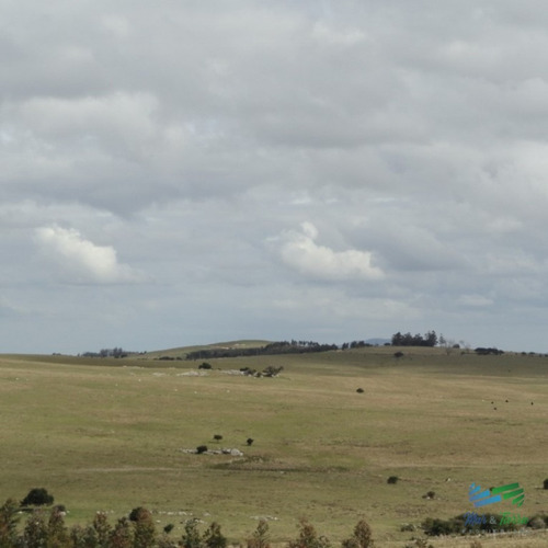 Vendo Chacra De 5 Ha A Metros De Ruta 12, Pasando Pueblo Eden, Maldonado.- Ref: 2581