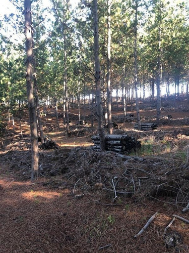 Terreno En Navidad, Localidad De Matanzas