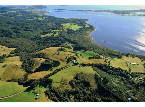 Parcelas En Condominio / Ancud, Chiloé
