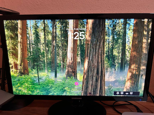 Monitor Gamer Samsung De 24 75hz Full Hd (Usado)