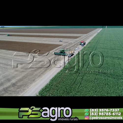 Imagem 4 de 15 de Fazenda À Venda, 12 Mil Hectares Por R$ 365.000.000 - Zona Rural - Chapadão/piauí - Fa0190