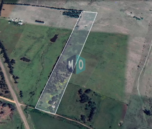Chacra En Venta Ubicada A 2 Km De La Ciudad De Aigua.