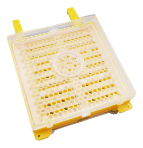 Cer Apicultores Kit De Injerto De Abejas Conjunto De