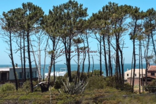 Imagen 4 de 30 de Casa En Venta En Montoya, 4 Dormitorios