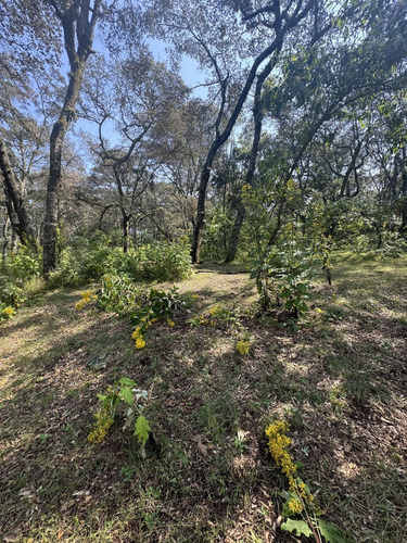 Vendo Terreno Boscoso De 11 Hectáreas En Jilótepec